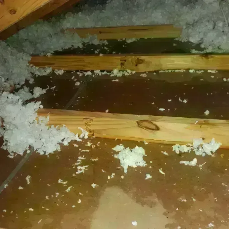 Attic Water Damage in Mechanicsburg, OH